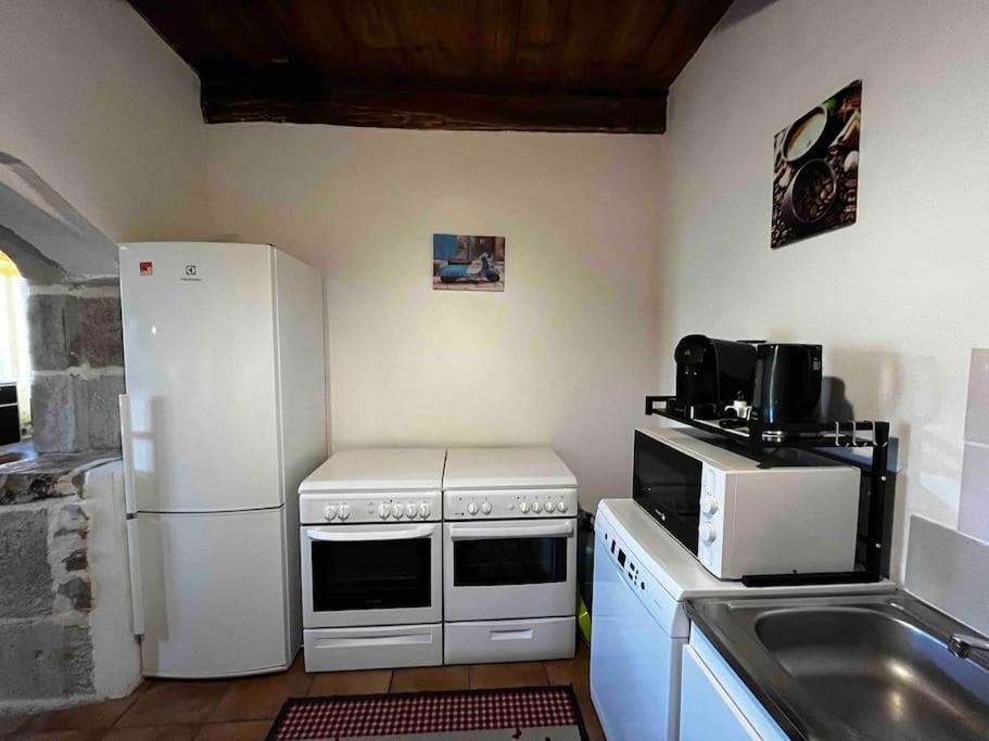 Gite A La Ferme Au Coeur De L'Auvergne Saint-Hippolyte  Dış mekan fotoğraf